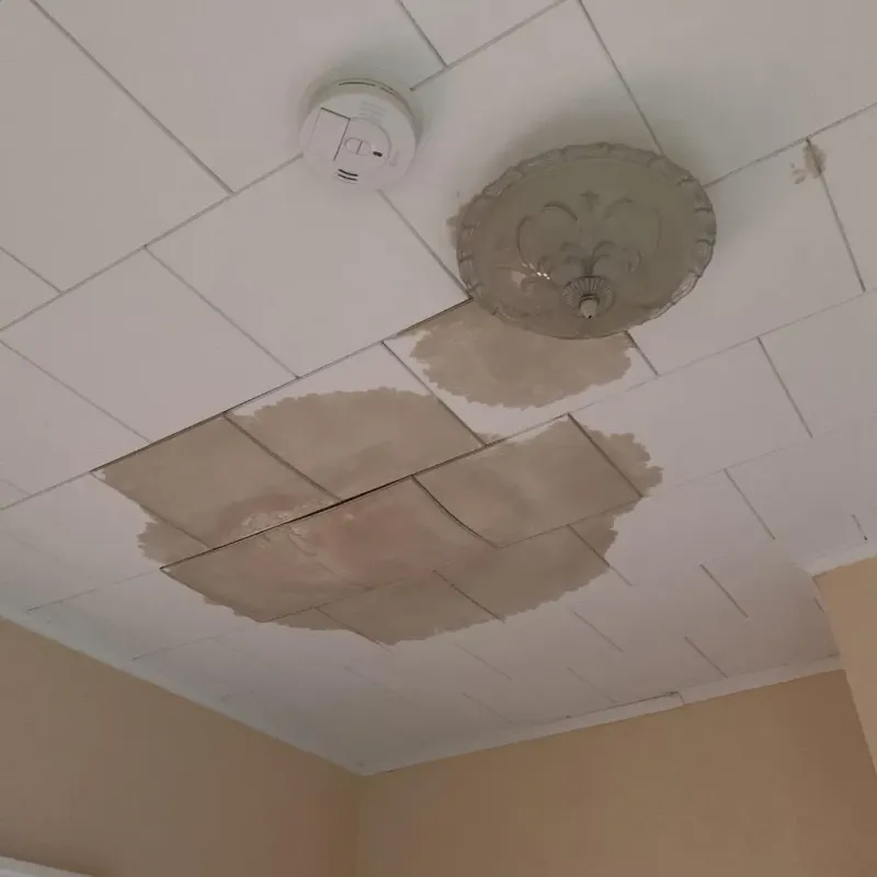 Ceiling Water Damage Repair in Beadle County, SD