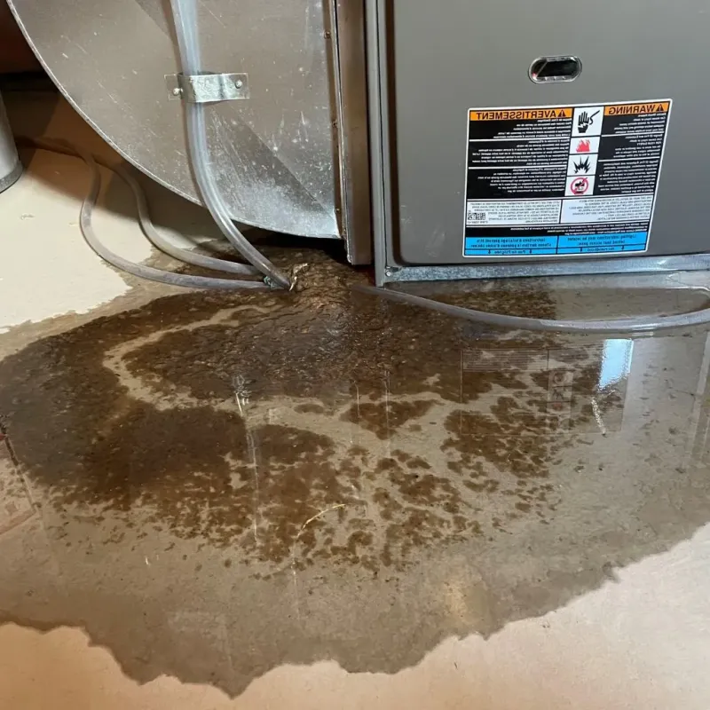 Pipe Burst and Leak Restoration in Beadle County, SD